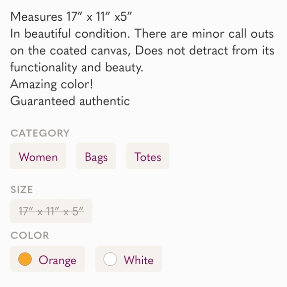 CELINE Tote BAG with minor callouts - Picture 8 of 8